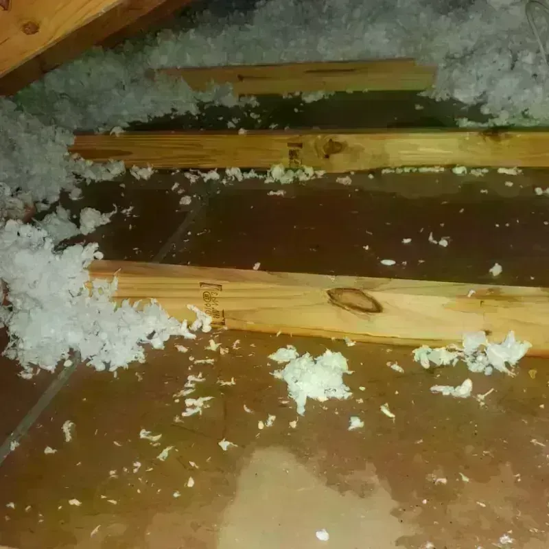 Attic Water Damage in Little Cottonwood Creek Valley, UT